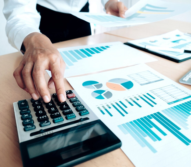Conselheiro fiscal profissional